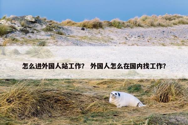 怎么进外国人站工作？ 外国人怎么在国内找工作？
