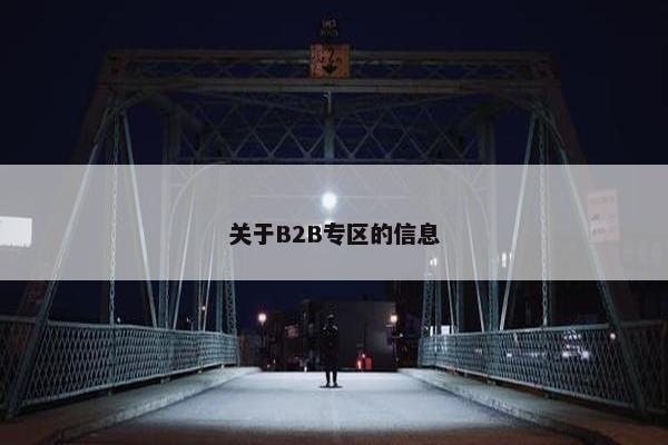 关于B2B专区的信息
