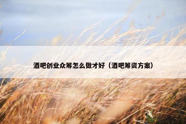 酒吧创业众筹怎么做才好（酒吧筹资方案）