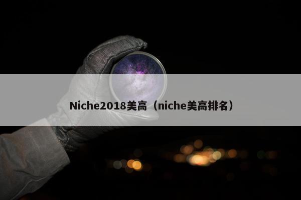 Niche2018美高（niche美高排名）