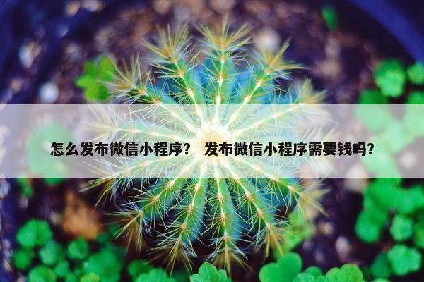 怎么发布微信小程序？ 发布微信小程序需要钱吗？