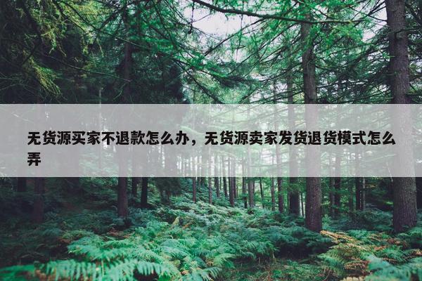 无货源买家不退款怎么办，无货源卖家发货退货模式怎么弄