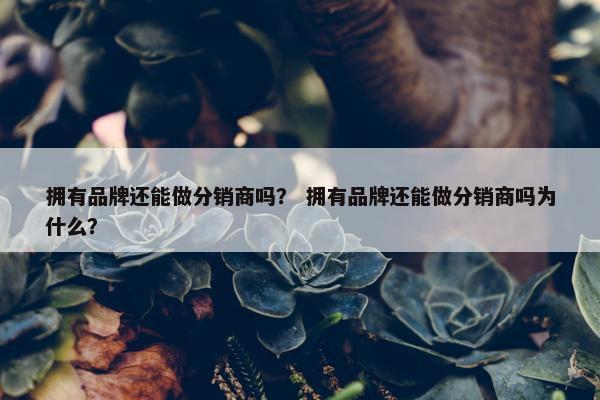 拥有品牌还能做分销商吗？ 拥有品牌还能做分销商吗为什么？