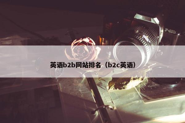 英语b2b网站排名（b2c英语）