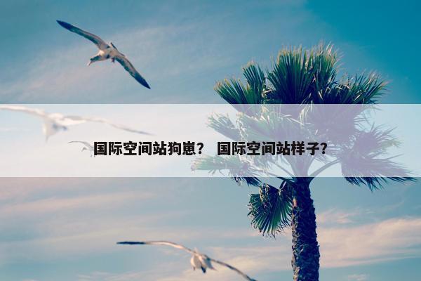 国际空间站狗崽？ 国际空间站样子？