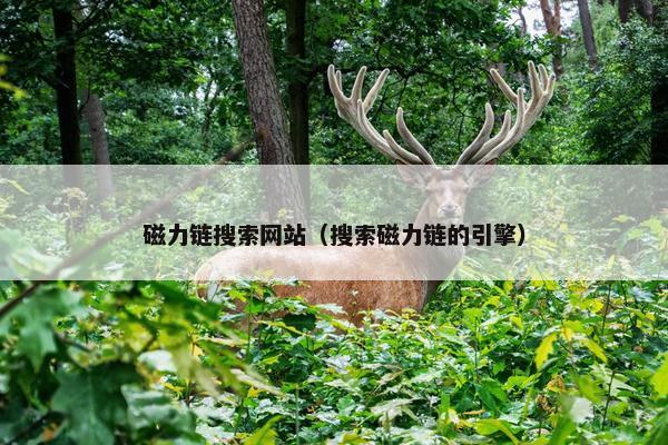 磁力链搜索网站（搜索磁力链的引擎）