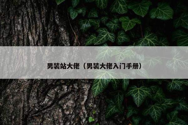 男装站大佬（男装大佬入门手册）