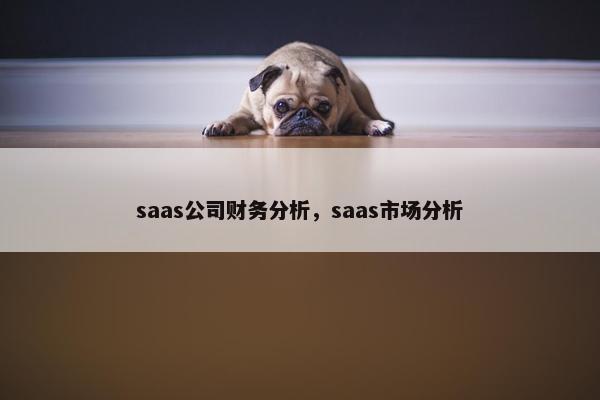 saas公司财务分析，saas市场分析