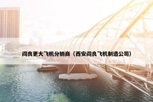 阎良更大飞机分销商（西安阎良飞机制造公司）