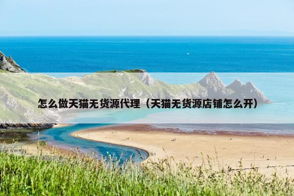 怎么做天猫无货源代理（天猫无货源店铺怎么开）