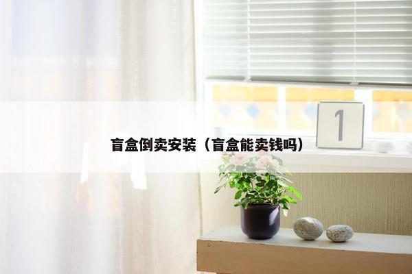 盲盒倒卖安装（盲盒能卖钱吗）