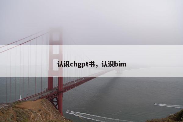 认识chgpt书，认识bim