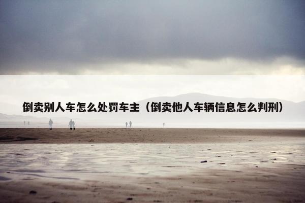 倒卖别人车怎么处罚车主（倒卖他人车辆信息怎么判刑）