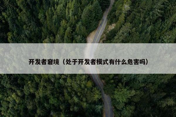 开发者窘境（处于开发者模式有什么危害吗）