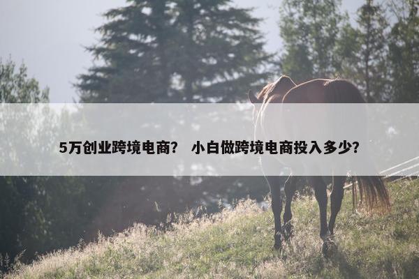 5万创业跨境电商？ 小白做跨境电商投入多少？