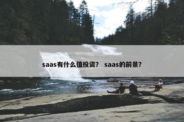 saas有什么值投资？ saas的前景？
