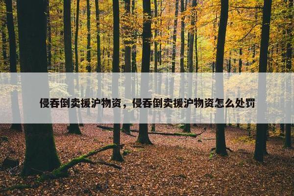 侵吞倒卖援沪物资，侵吞倒卖援沪物资怎么处罚