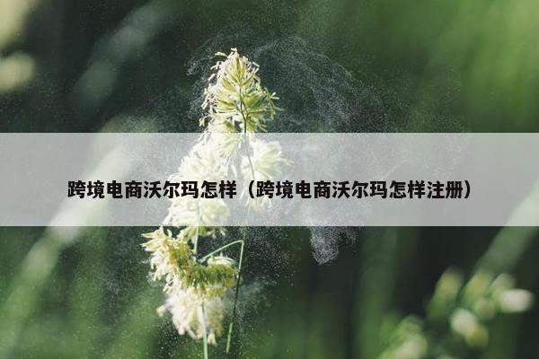 跨境电商沃尔玛怎样（跨境电商沃尔玛怎样注册）