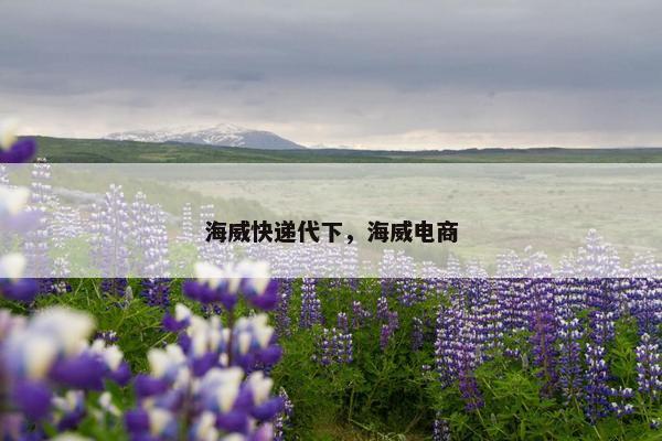 海威快递代下，海威电商