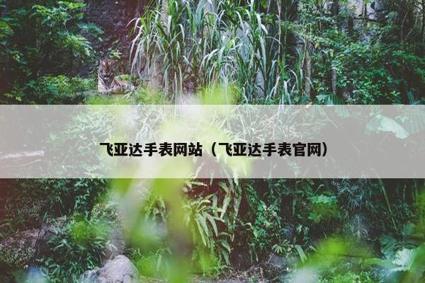 飞亚达手表网站（飞亚达手表官网）