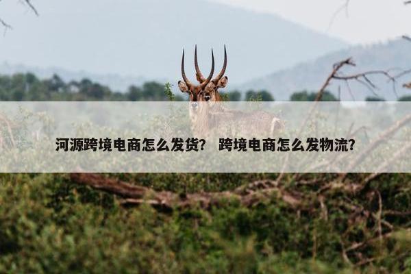 河源跨境电商怎么发货？ 跨境电商怎么发物流？