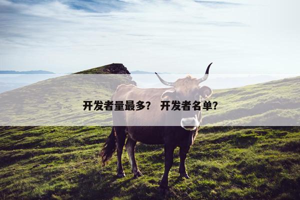 开发者量最多？ 开发者名单？