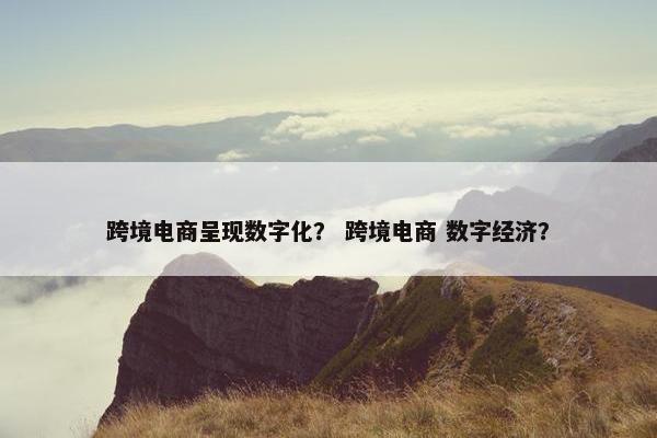 跨境电商呈现数字化？ 跨境电商 数字经济？