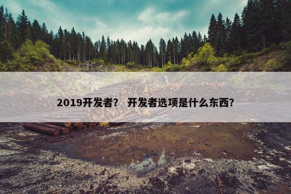 2019开发者？ 开发者选项是什么东西？