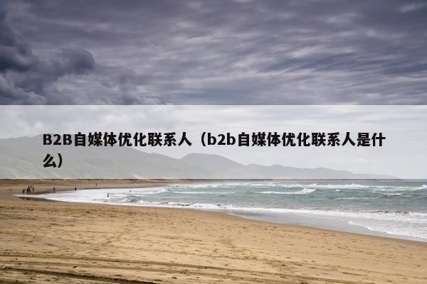 B2B自媒体优化联系人（b2b自媒体优化联系人是什么）