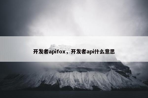 开发者apifox，开发者api什么意思
