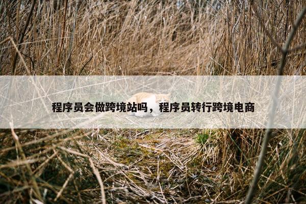 程序员会做跨境站吗，程序员转行跨境电商