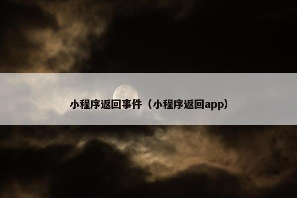 小程序返回事件（小程序返回app）