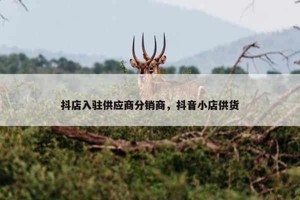 抖店入驻供应商分销商，抖音小店供货