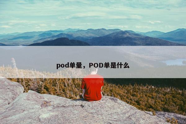 pod单量，POD单是什么