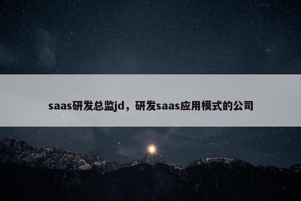 saas研发总监jd，研发saas应用模式的公司