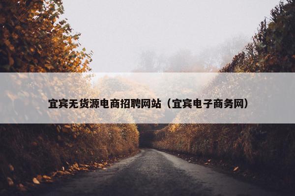 宜宾无货源电商招聘网站（宜宾电子商务网）