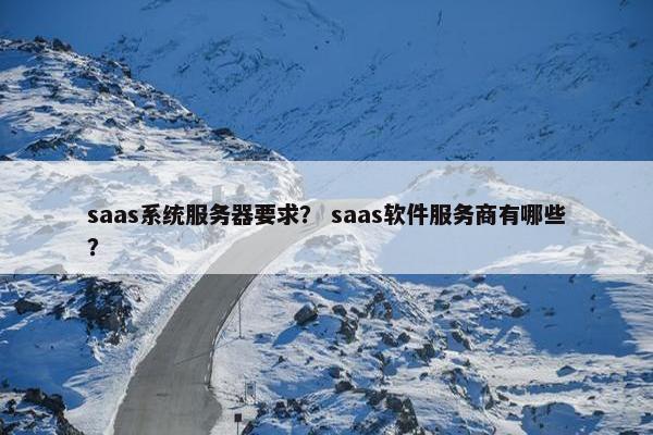 saas系统服务器要求？ saas软件服务商有哪些？