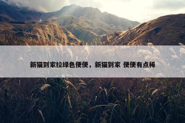 新猫到家拉绿色便便，新猫到家 便便有点稀