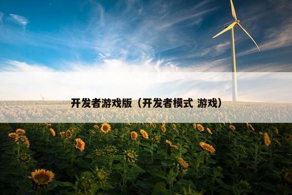 开发者游戏版（开发者模式 游戏）