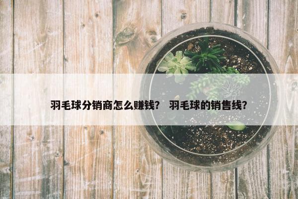 羽毛球分销商怎么赚钱？ 羽毛球的销售线？