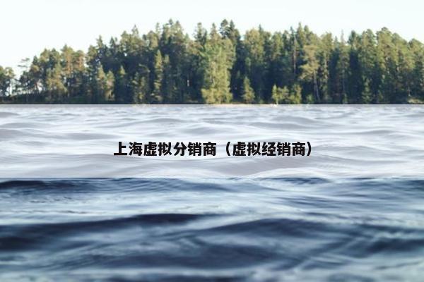 上海虚拟分销商（虚拟经销商）