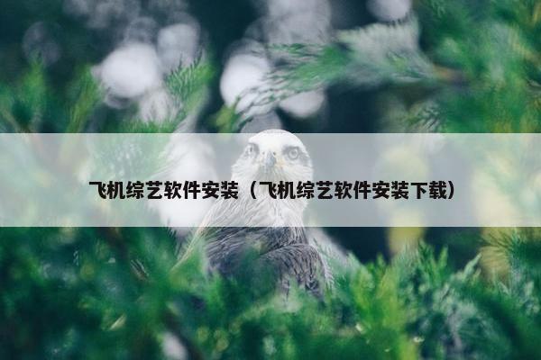 飞机综艺软件安装（飞机综艺软件安装下载）