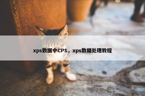 xps数据中CPS，xps数据处理教程