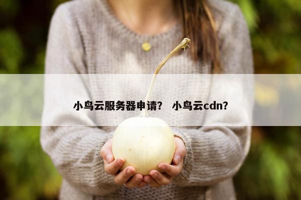 小鸟云服务器申请？ 小鸟云cdn？