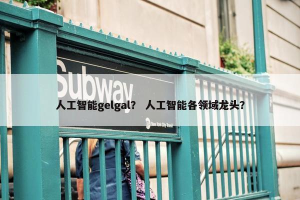 人工智能gelgal？ 人工智能各领域龙头？