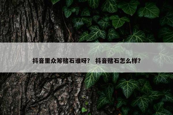 抖音里众筹赌石谁呀？ 抖音赌石怎么样？