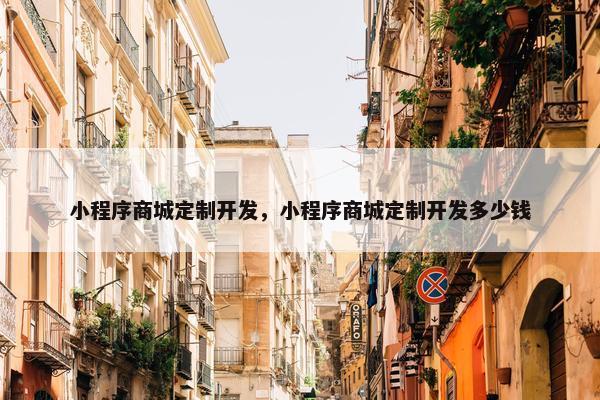 小程序商城定制开发，小程序商城定制开发多少钱