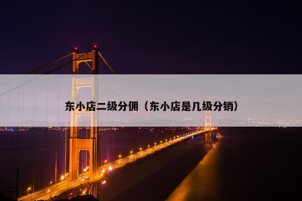 东小店二级分佣（东小店是几级分销）