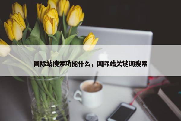 国际站搜索功能什么，国际站关键词搜索
