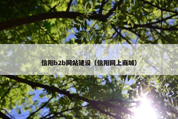信阳b2b网站建设（信阳网上商城）